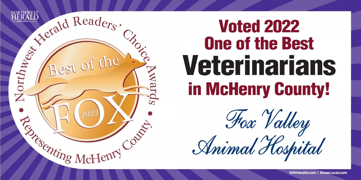 Voted one of the best veterinarians in McHenry County!